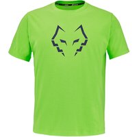 Babolat Juan Lebron t-shirt voor heren in groen