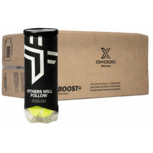 Oxdog Boost 24x3 St. squashballen set van zes dozijn